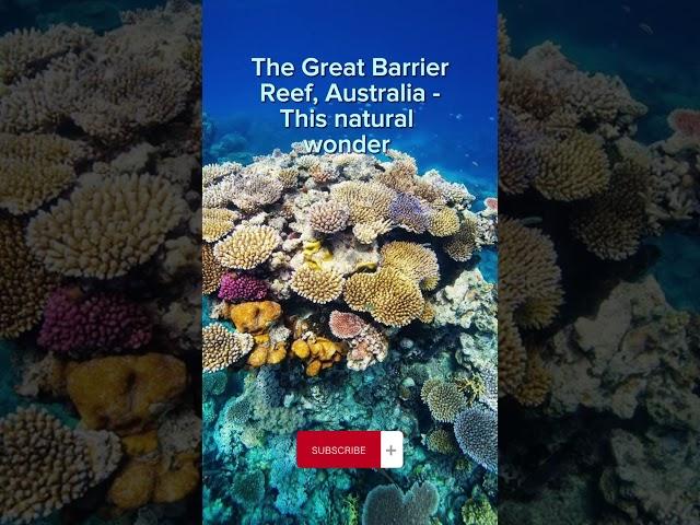 GREAT BARRIER REEF AUSTRALIA #travel #fact #oceania #coral #largest #queensland