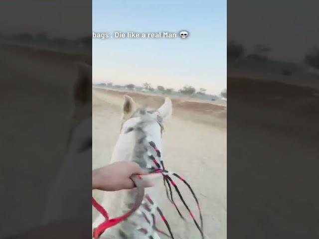 be a rider #pakistan #automobile #punjabimusic  #horse #horseriding