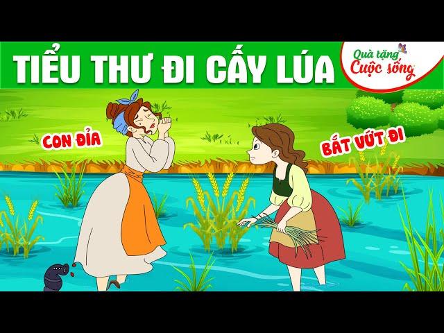 TIỂU THƯ ĐI CẤY LÚA - Phim hoạt hình - Truyện cổ tích - Hoạt hình hay - Cổ tích - Quà tặng cuộc sống