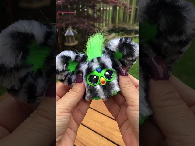 Furby Furblets 2-pack! #shorts #satisfyingvideo #asmr #mini