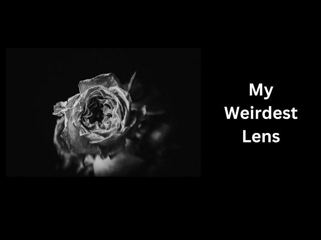 Lensbaby Muse - My Weirdest Lens and Why I Love it.