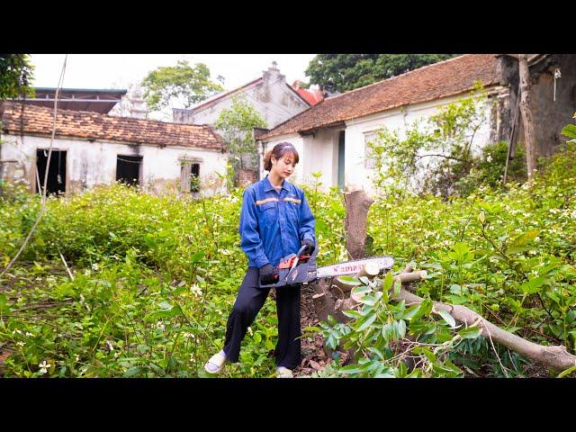 CEO Girl Returns to Her Abandoned Home | The Journey of Cleaning Up Her Deceased Parents' House