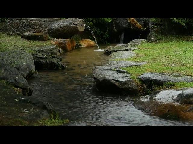 rain sound on the beautiful garden, small stream