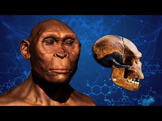 The Weird History of the 800,000-Year-Old Peking Man Fossils