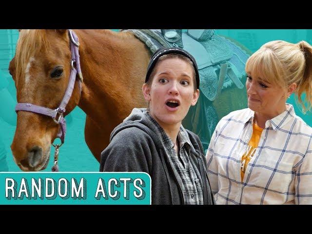 Horse Surprise - Random Acts
