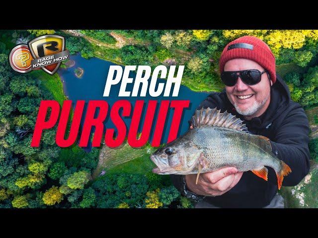 **FOX RAGE TV** PERCH PURSUIT | Mat Woods Uncovers Lake Secrets | Lure fishing for beginners UK