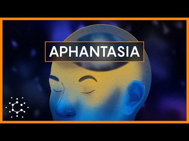 Why Some People Don’t ‘See’ Mental Imagery: Aphantasia