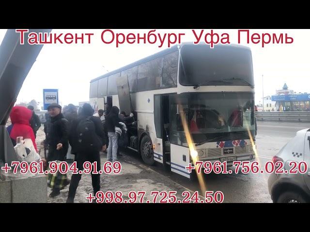 Ташкент Оренбург автобус Ташкент Уфа автобус Ташкент Пермь автобус