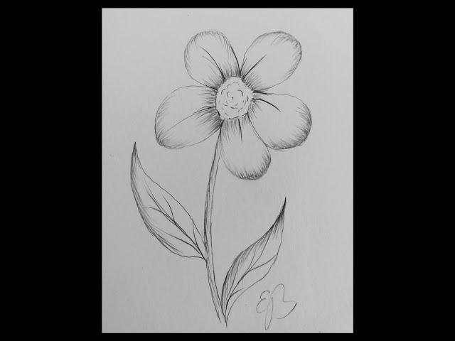 How to Draw a Really Easy Flower/ Daisy Flower In 6 Minutes!