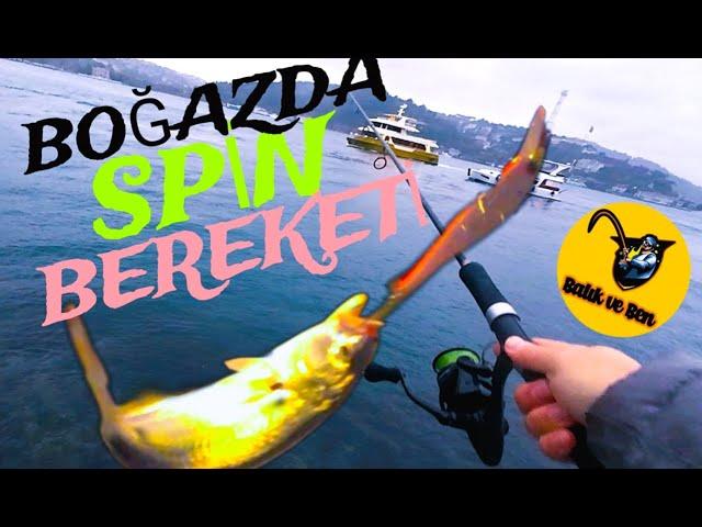 Spinciler merada coştu!