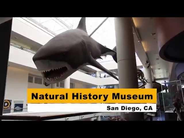 San Diego   Natural History Museum 1080