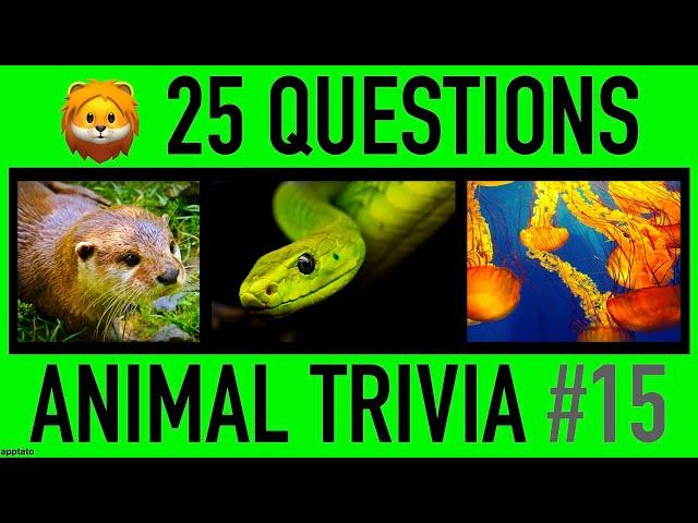 ANIMAL TRIVIA QUIZ #15 - 25 Animals Knowledge Trivia Questions and Answers | Pub Quiz