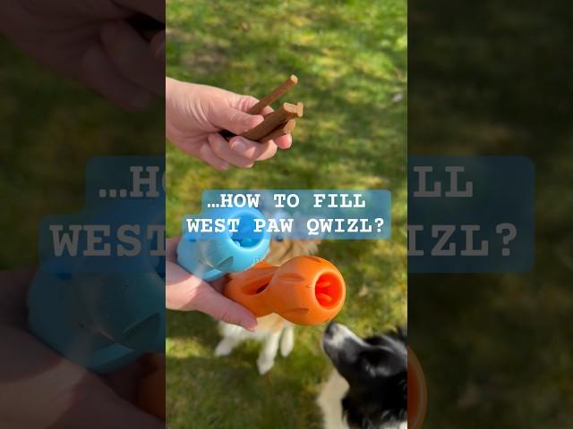 DO YOU KNOW HOW TO fill West Paw Qwizl Interactive Dog Toy? #dog #toys