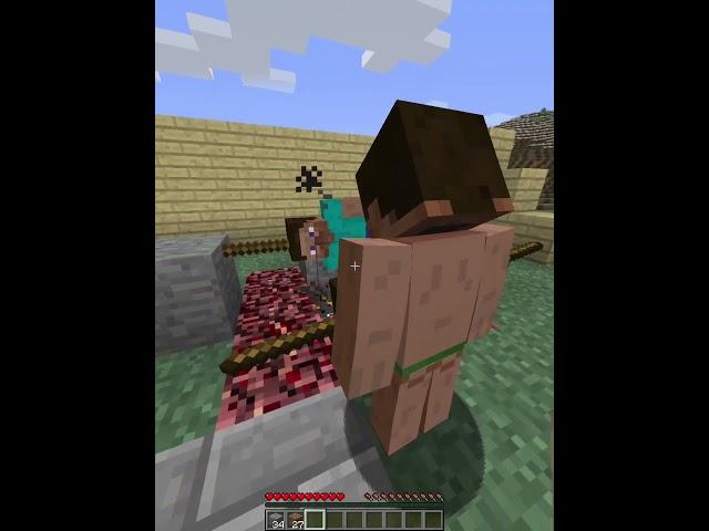 Minecraft chaos