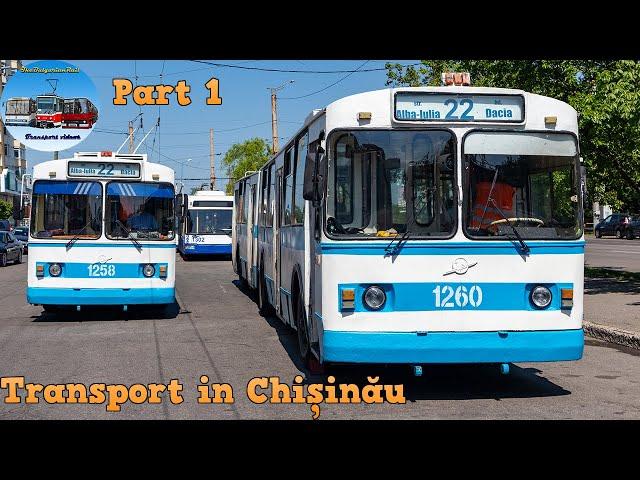 Buses & Trolleybuses in Chișinău  | Part 1 [May 2023]