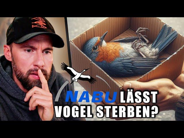 VERLETZTEN VOGEL STERBEN LASSEN?! Nabu hilft nicht im Notfall? | Robert Marc Lehmann