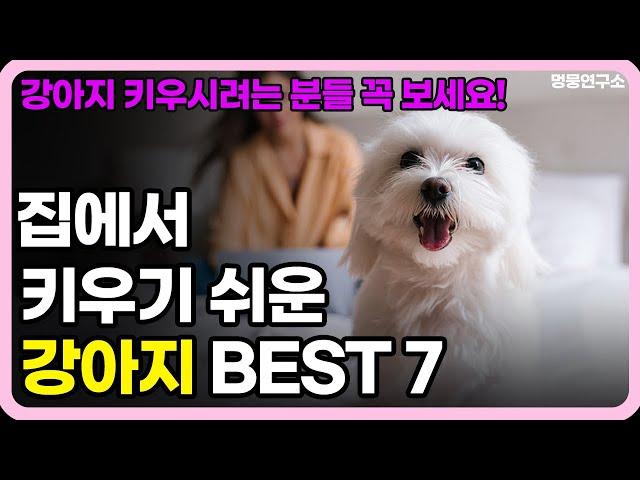 집에서 키우기 쉬운 강아지 BEST 7