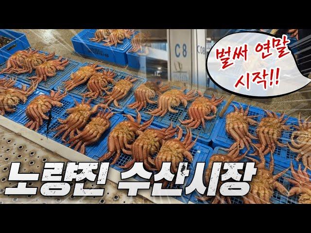 연말 시작?! 아~~~~~~~~~11월13일 새벽 노량진수산시장 리뷰