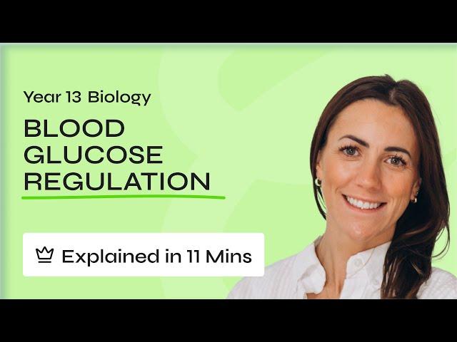 Blood Glucose Regulation Explained in 11 Minutes