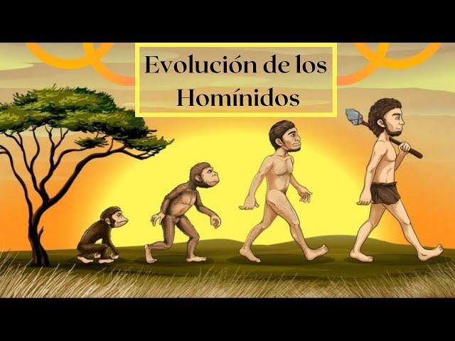 Evolución de los homínidos: Un recorrido por el tiempo