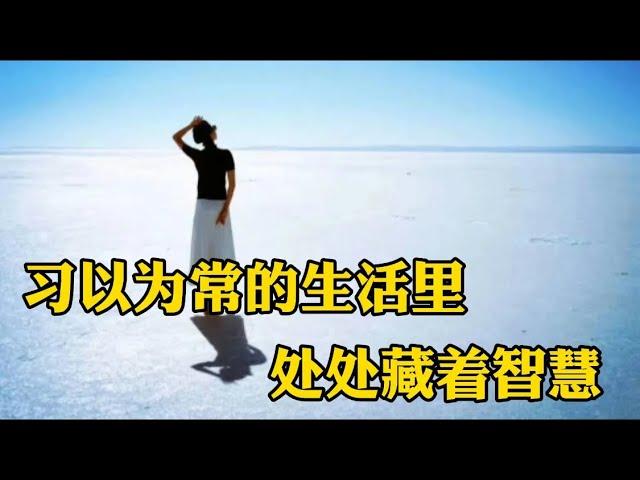 赏读：习以为常的生活里，处处藏着智慧！