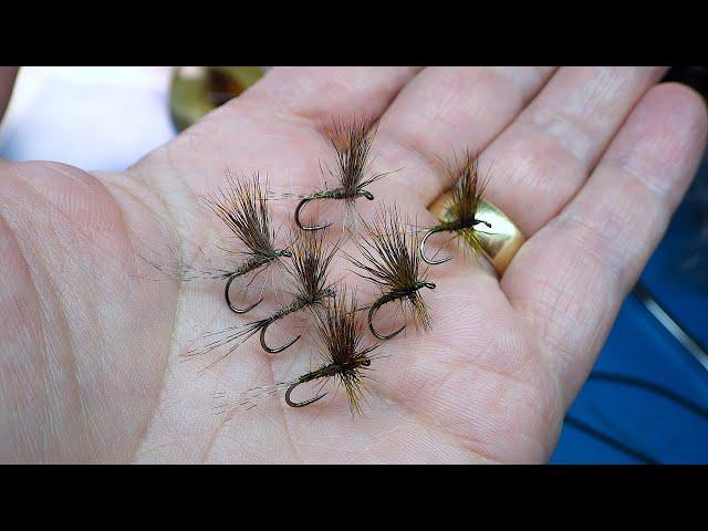 Tying a Rough Olive Dry Fly by Davie McPhail