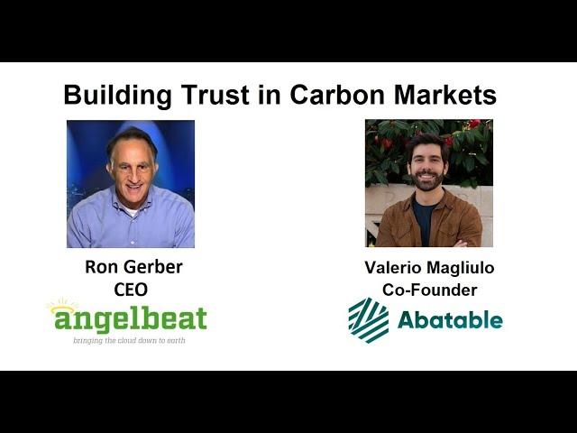 Building Trust in Carbon Markets with Abatable