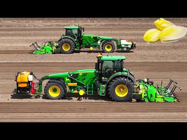 Ridging Beds and Sowing Endive / Chicory | 2x John Deere 6155R Trike Tractors | Loonbedrijf SvZ