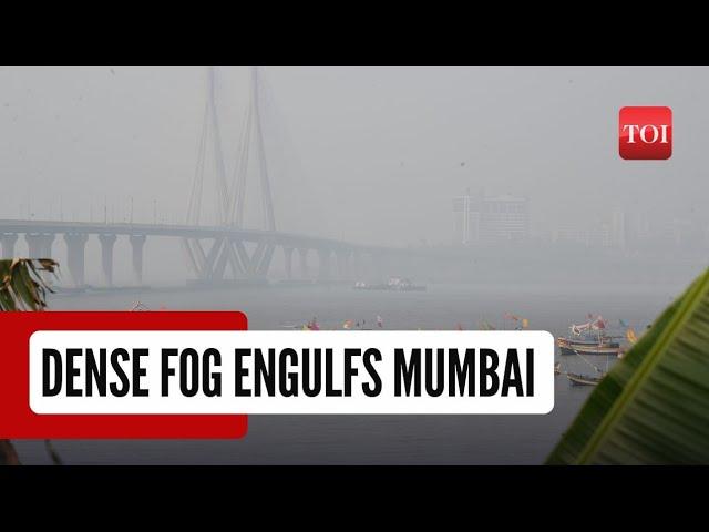 Mumbai Weather Crisis: Maximum City wakes up to dense smog amid Ganeshotsav | Mumbai News