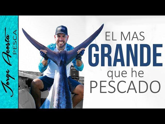 MARLIN AZUL - Más de 300 libras!! - Pesca en ALTA MAR