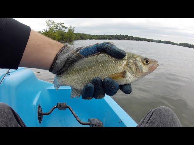 Fall Fishing Maine Lake (Mixed Bag)
