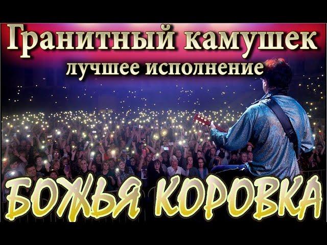 Божья коровка "Гранитный камушек" - Лучшее исполнение