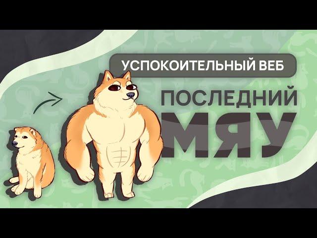 Последний мяу: финальный курс. ЕГЭ 2025: русский язык. УСПОКОИТЕЛЬНЫЙ ВЕБ [ЗАПИСЬ БУДЕТ]