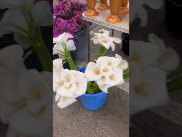 Оптовый цветочный рынок в Краснодаре #цветочныйрынок #декоратор #оптомцветы
