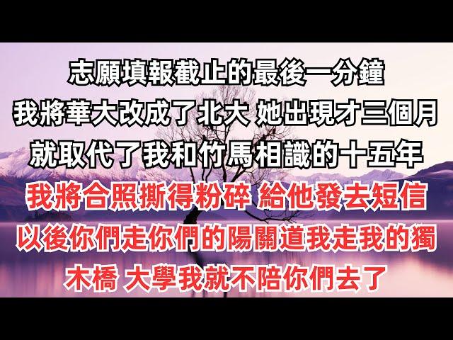 志願填報截止的最後一分鐘，我將華大改成了北大。她出現才三個月，就取代了我和竹馬相識的十五年。我將合照撕得粉碎，給他發去短信：「以後你們走你們的陽關道，我走我的獨木橋。大學我就不陪你們去了。」