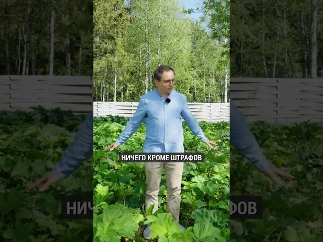 ШТРАФ ЗА БОРЩЕВИК? Новые законы ИЖС