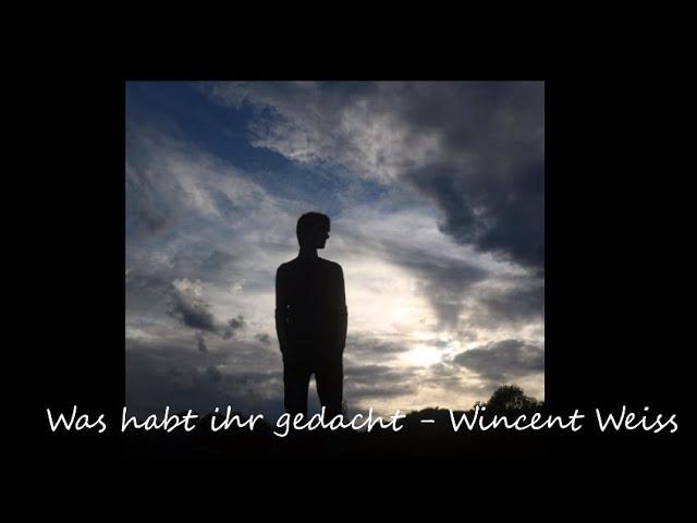 Was habt ihr gedacht - Wincent Weiss (Cover Luca Waiz)