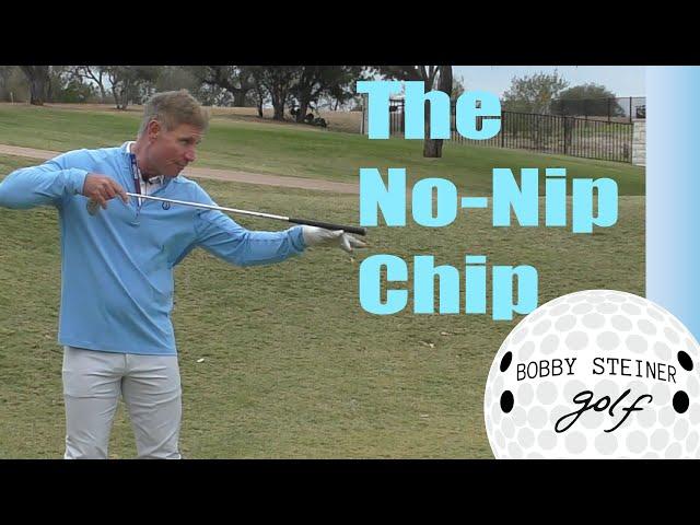 DON'T NIP YOUR CHIPS, BY BOBBY STEINER