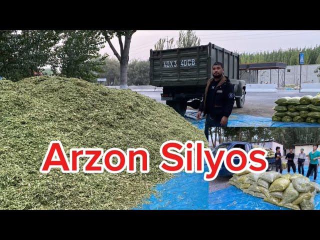 933952216 Arzon Silyos sõraganlar uchun optom narxlarda shoshiling