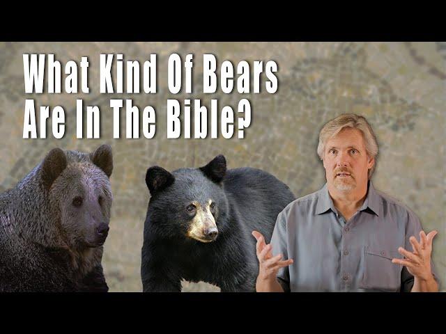 How do we know what kind of bears were in the Bible ?