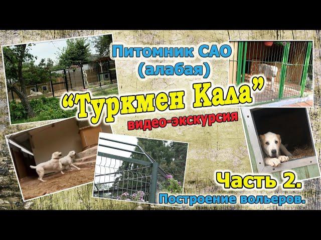 Построение вольеров в питомнике "Туркмен Кала"