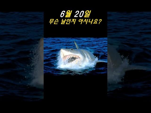 6월 20일 무슨 날인지 아시나요?