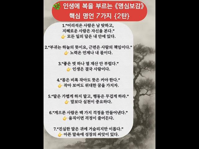 #명심보감 #고전명언 #인생명언 #마음공부 #고전의 지혜  #오늘의 명언 #명언시리즈 #짧은 명언 #마음챙김 #인생 공부  #하루한줄 #조용한힘