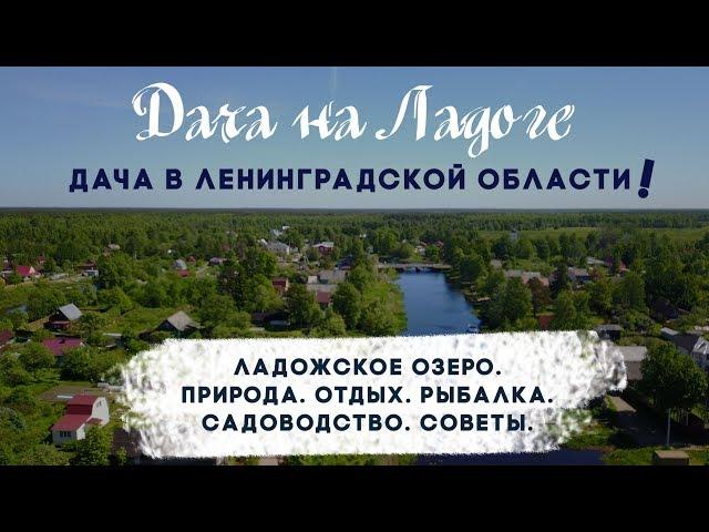 Ищете дачу в Ленинградской области? Ладожское озеро. Природа. Отдых. Рыбалка. Садоводство. Советы