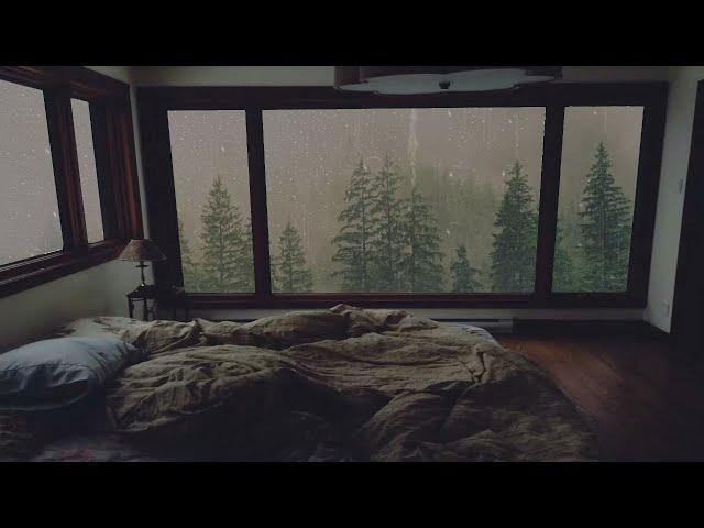 Rain Sound for Sleeping - Sound of Relaxing the Rain in the Misty Forest Without Thunder