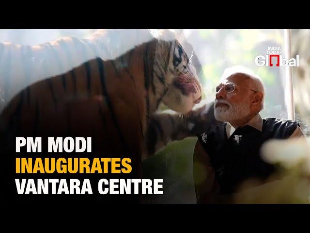 LIVE: PM Modi Inaugurates Vantara – India’s New Wildlife Conservation Centre