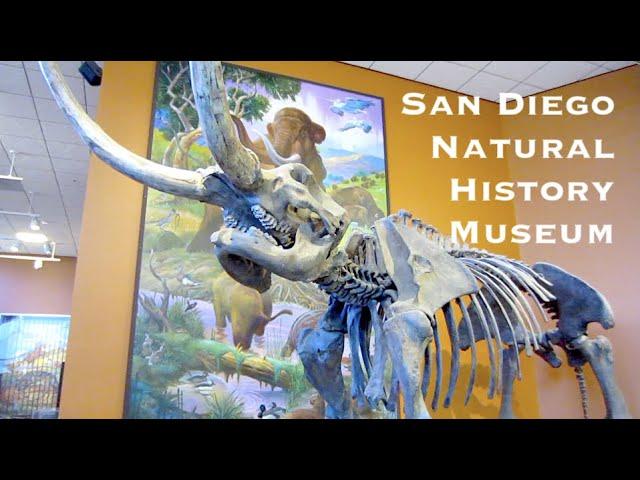 San Diego Natural History Museum