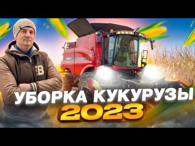 Рекордный урожай.Технология уборки кукурузы с бункером перегрузчиком.