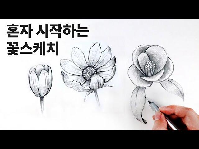 Draw flowers with a pencil