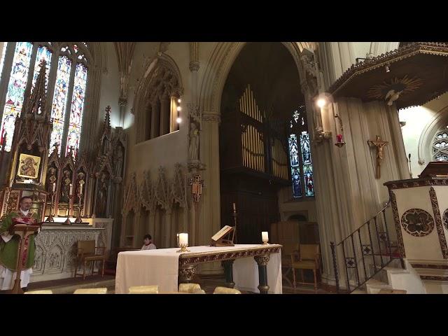 Sunday Mass Live Stream | 8 AM at St. Mary's Catholic Church, Clapham